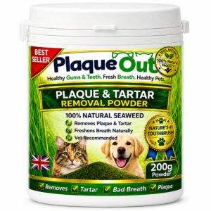 PLAQUE OUT - Cats and Dogs - 200G POT