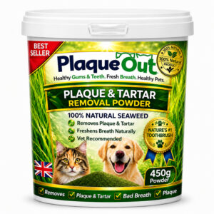 PLAQUE OUT - Cats and Dogs - 450G Bulk POT