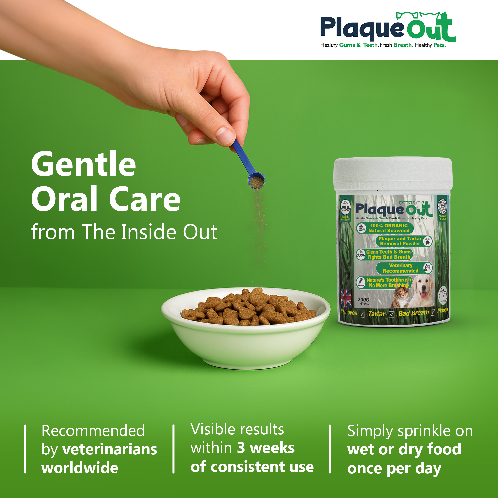 PLAQUE OUT - Cats and Dogs - 200G POT - Image 3