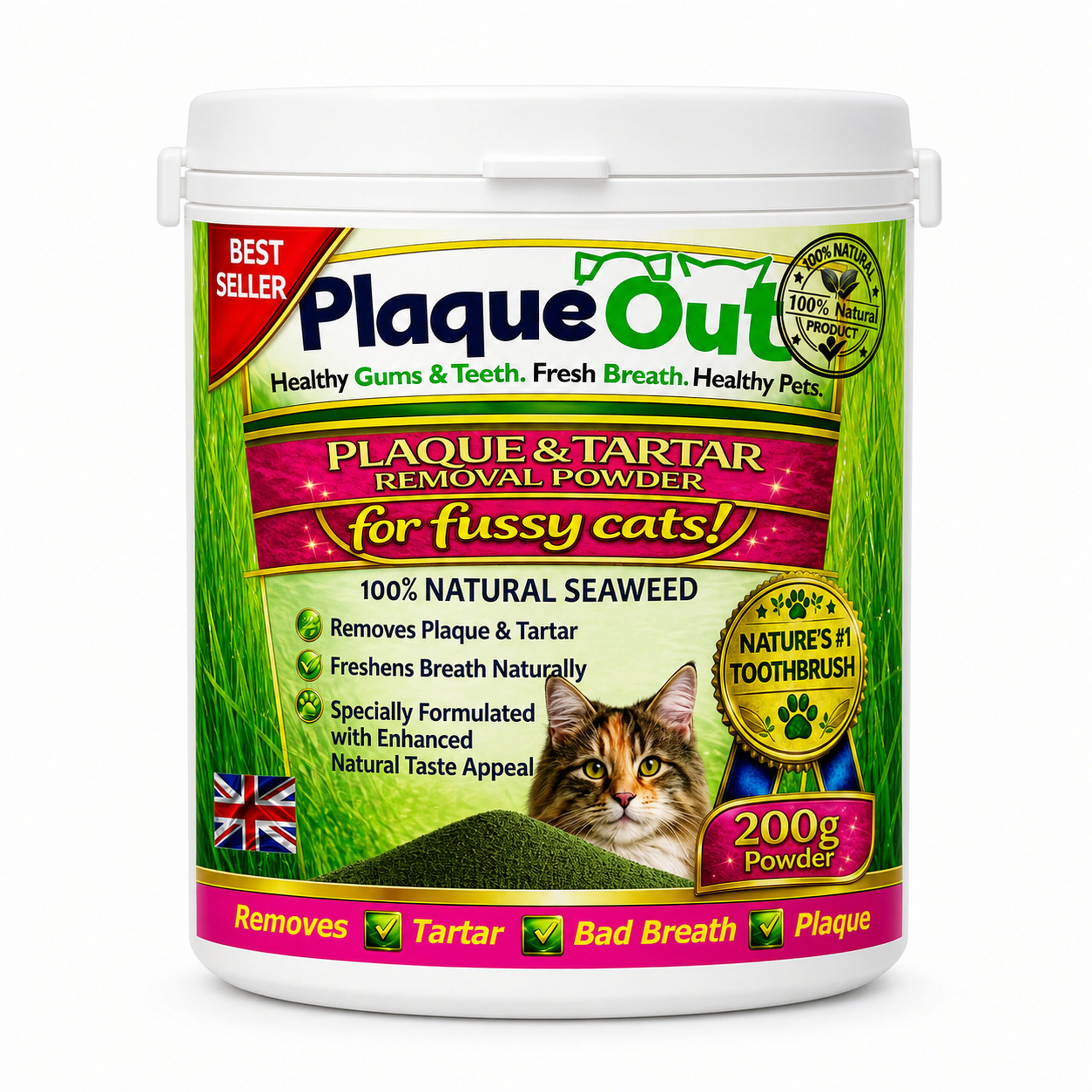PLAQUE OUT - Fussy Cats! - 200G POT