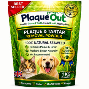 PLAQUE OUT - Cats and Dogs - 1KG Refill Pouch