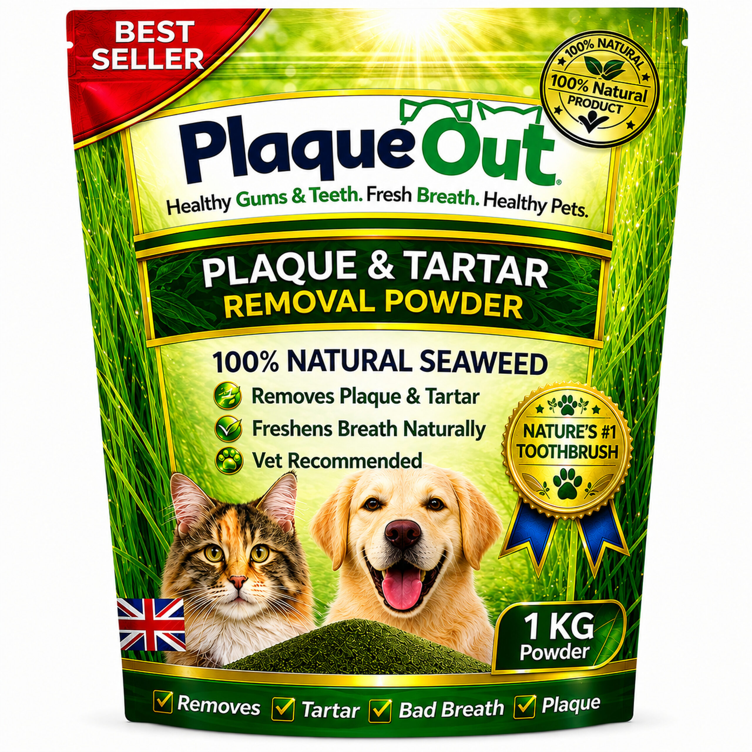 PLAQUE OUT - Cats and Dogs - 1KG Refill Pouch