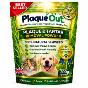 PLAQUE OUT - Cats and Dogs - 200G Refill Pouch