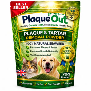 PLAQUE OUT - Cats and Dogs - 70G Refill Pouch