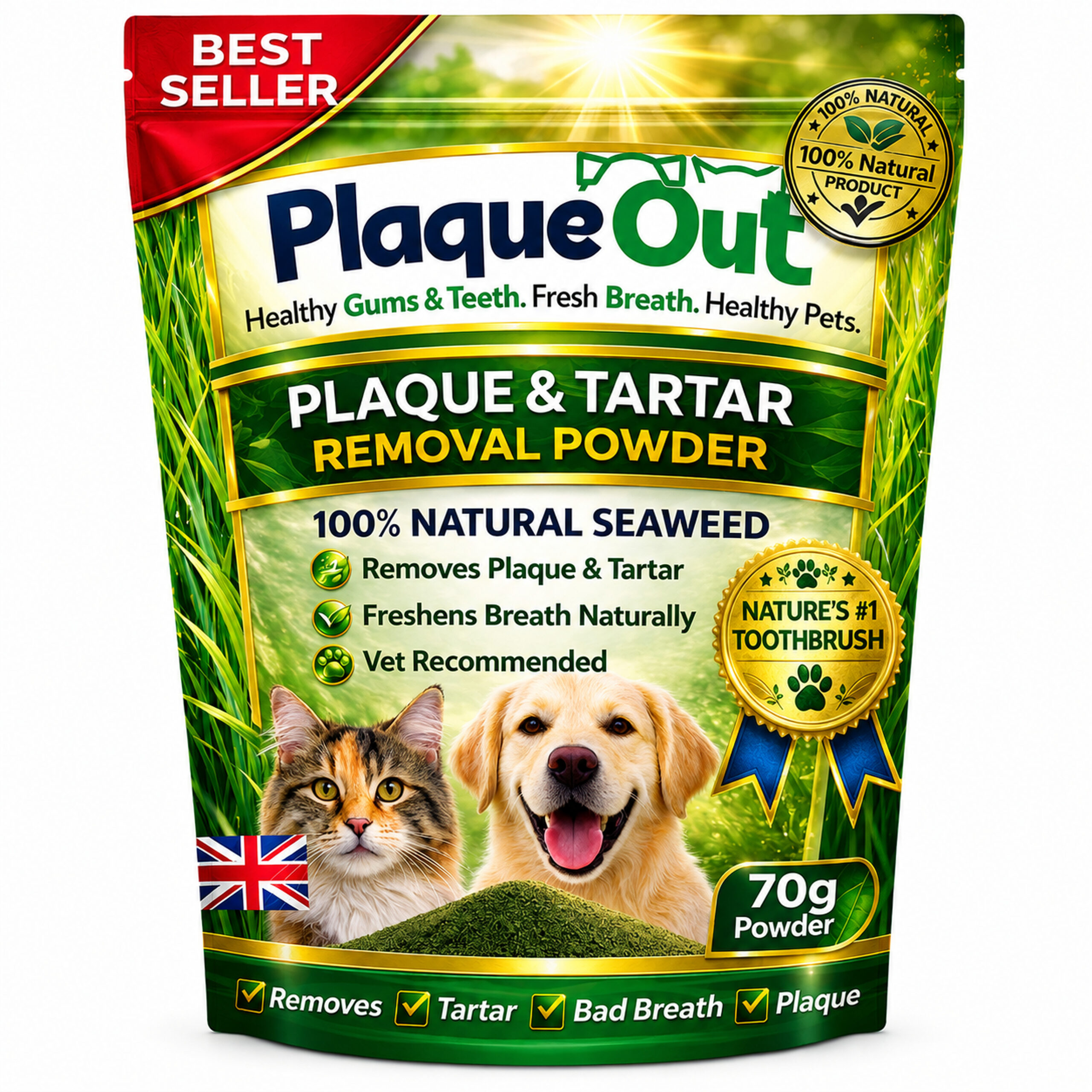PLAQUE OUT - Cats and Dogs - 70G Refill Pouch