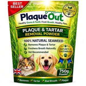 PLAQUE OUT - Cats and Dogs - 750G Refill Pouch