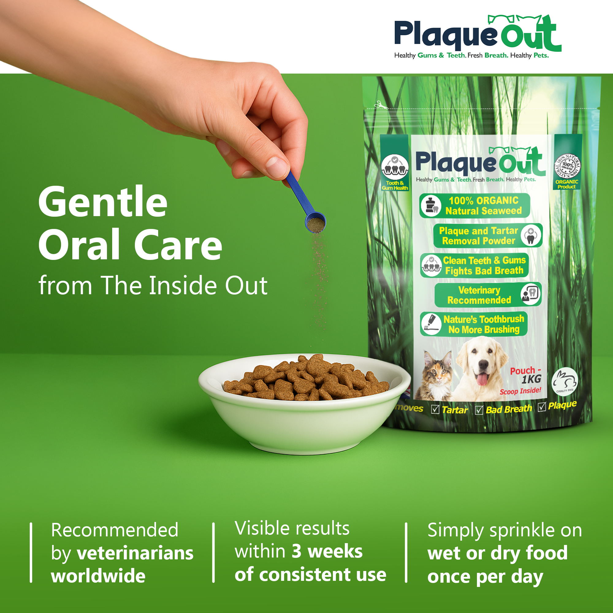 PLAQUE OUT - Cats and Dogs - 1KG Refill Pouch - Image 3