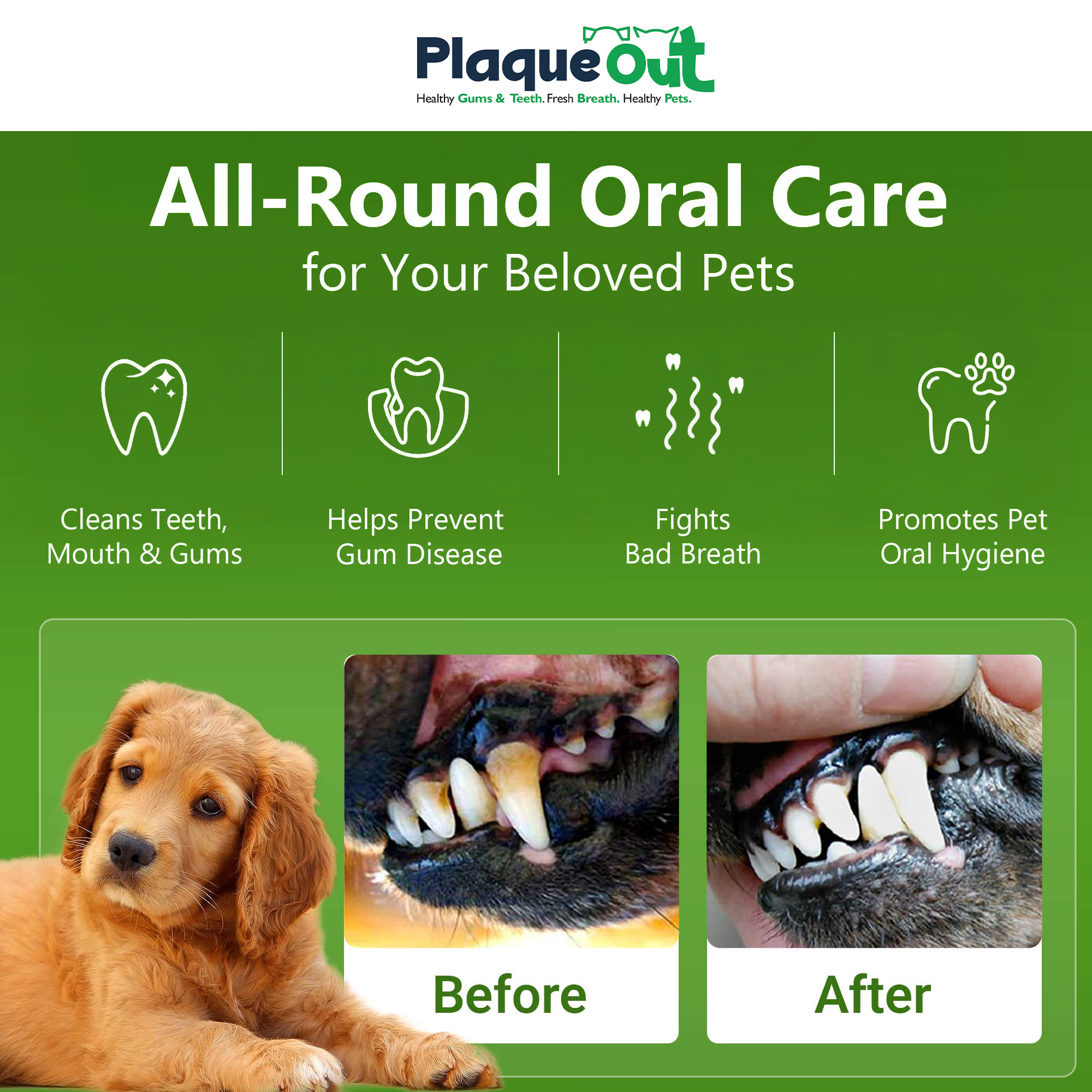 PLAQUE OUT - Cats and Dogs - 750G Refill Pouch - Image 2