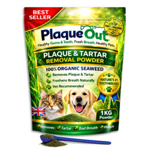PLAQUE OUT - Cats and Dogs - 1KG Refill Pouch