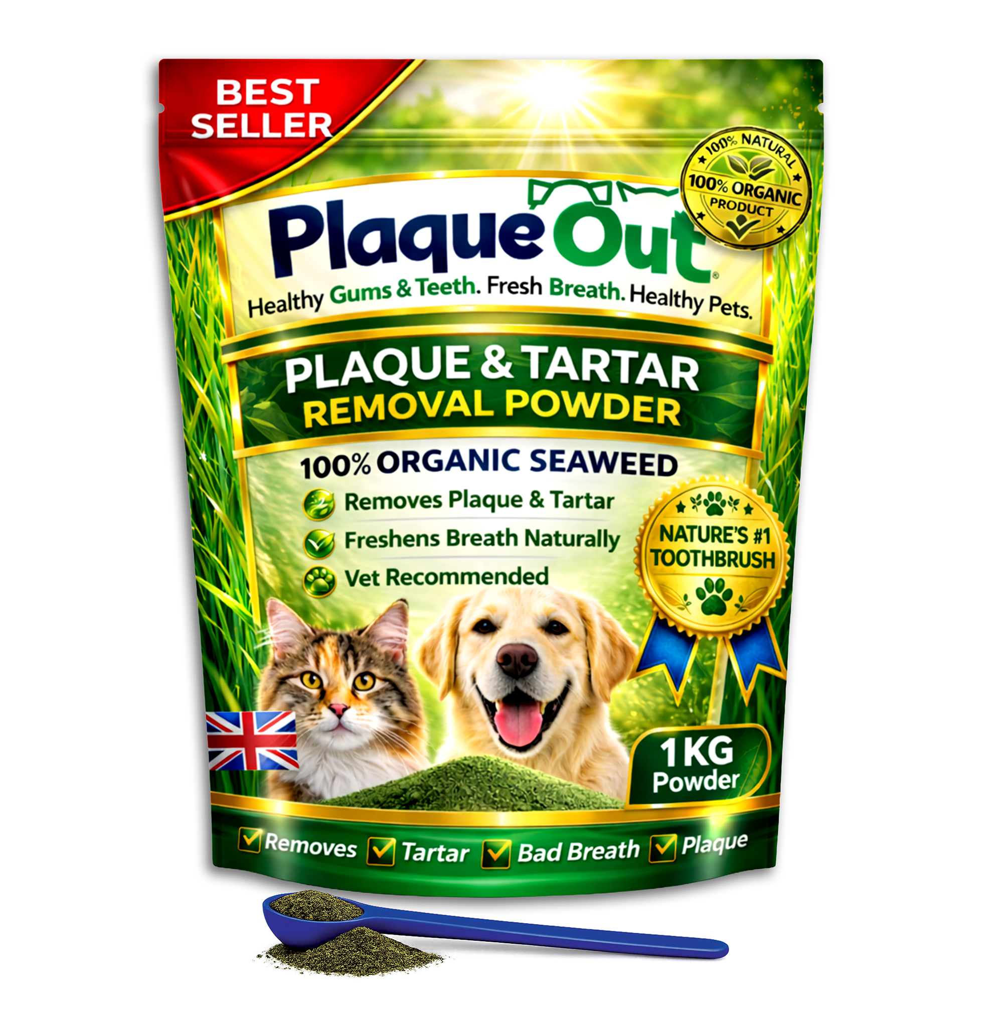PLAQUE OUT - Cats and Dogs - 1KG Refill Pouch