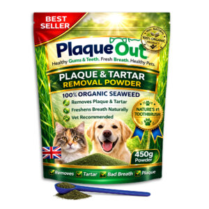 PLAQUE OUT - Cats and Dogs - 450G Refill Pouch