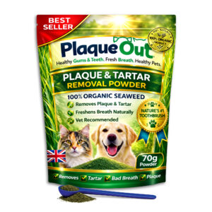PLAQUE OUT - Cats and Dogs - 70G Refill Pouch