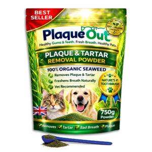 PLAQUE OUT - Cats and Dogs - 750G Refill Pouch
