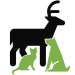 animals-colour-icon